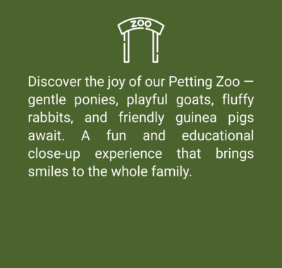 Attraction_Write-up_Square-02 Attraction_Write-up_Square-02
