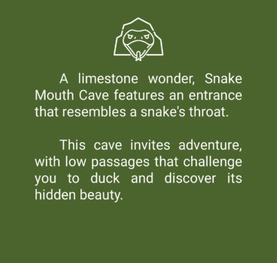 Attraction_Write-up_Square-06 Attraction_Write-up_Square-06