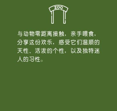 Attraction_Write-up_Square_page-0024